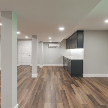 Doylestown Basement