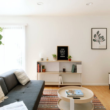 Modern Airy Apartment