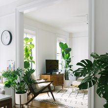 Plants
