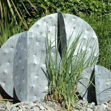 Landscape Ideas