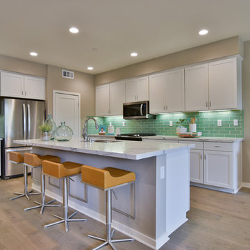 Transitional Kitchen
