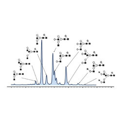 O-Glycan - Products