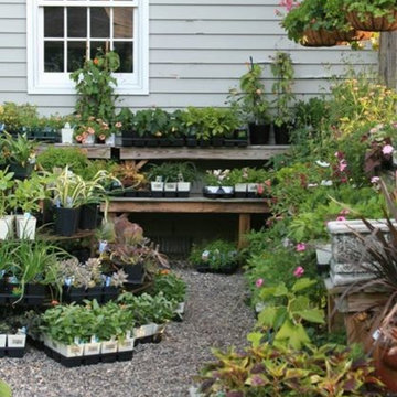 Oliver Nurseries Annual Plants and Containers