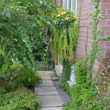 Summerhill Iron Fence Front Yard