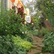 Side yard