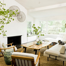 Plants For Loungeroom