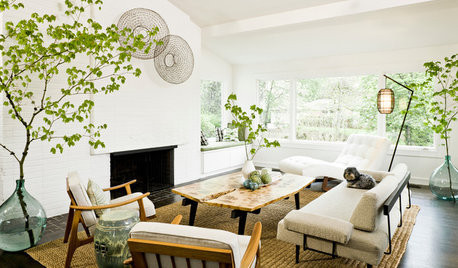 6 Easy Ways to Use Biophilic Design to Create a Serene Home