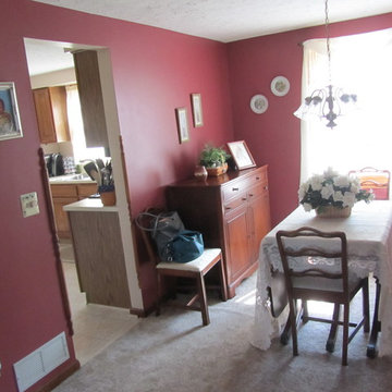 Kitchen Remodel, Mentor 2014