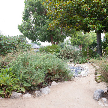 Bloom Filled Trail