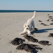 Lynne Foster's photo
