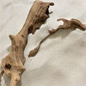 Photo de wild decor