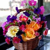 Ambreen Chishty's photo