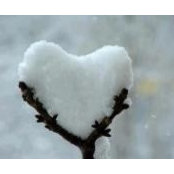 Photo de Cathy Matl Soukup