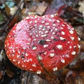 Foto von Victoria Predeth
