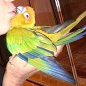Dina Mostafa's photo