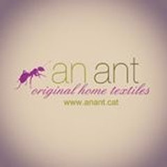 AN ANT