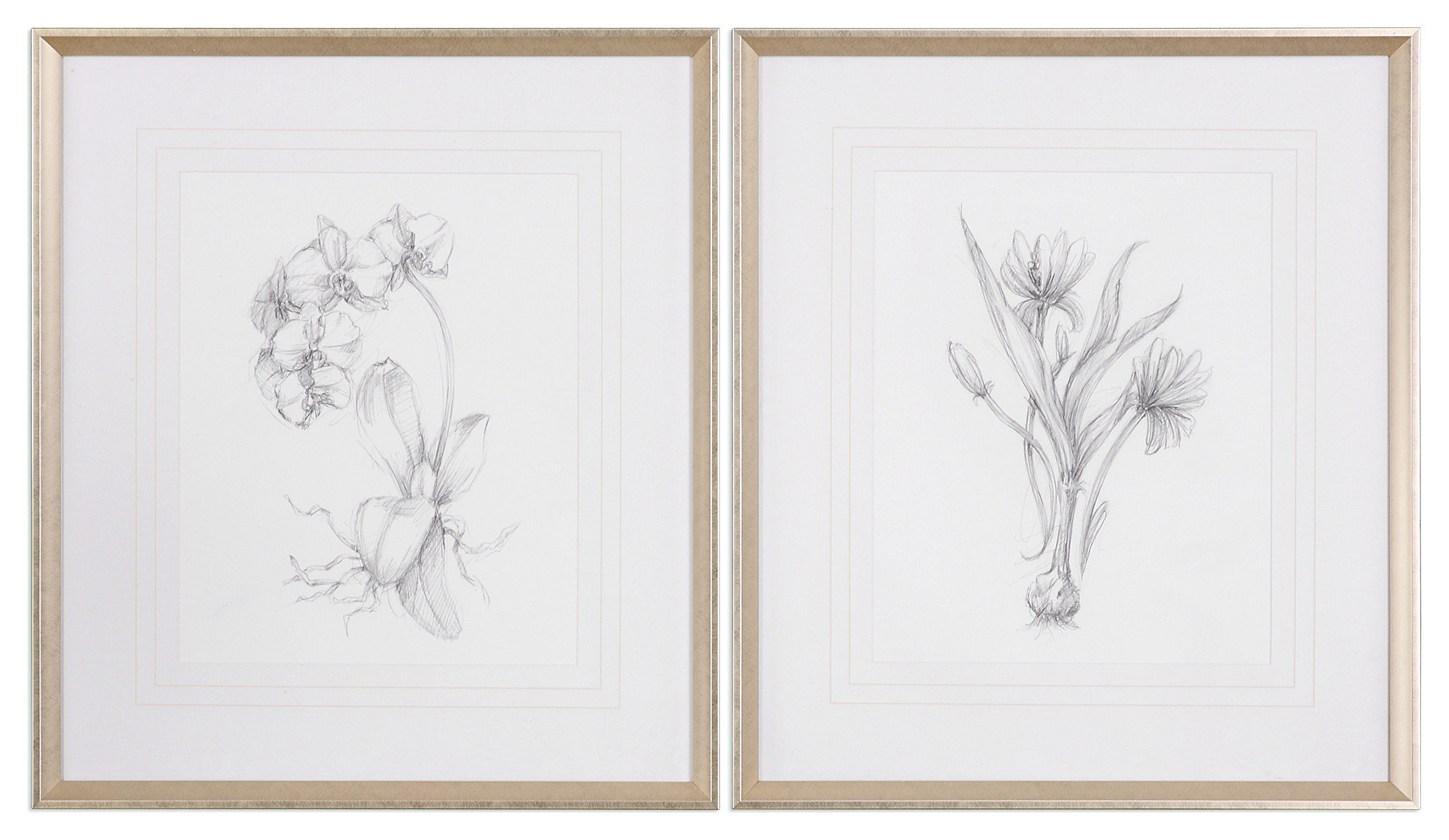Uttermost "Botanical Sketches" 2-Piece Framed Print Set, 28"x32"