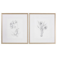 Uttermost "Botanical Sketches" 2-Piece Framed Print Set, 28"x32"