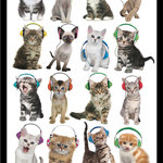 Trends International - Kitten Headphones Poster, Black Framed Version - Framed posters take an affordable, modern approach to decorating, allowing you to easily spruce up your walls. Each paper poster is carefully mounted on a foam board to keep it flat and smooth and then framed just for you. The black frame comes with sawtooth hangers so all you need is some empty wall space.