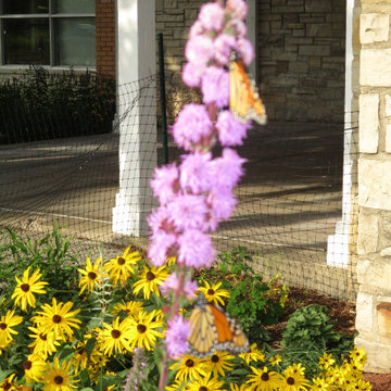 Humboldt Park Pollinator Garden