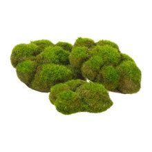 Moss