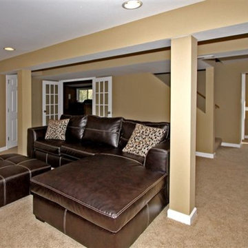 Carol Stream Basement Remodeling