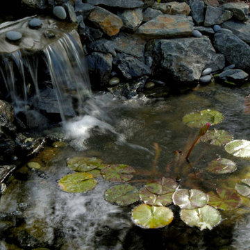 Water Features