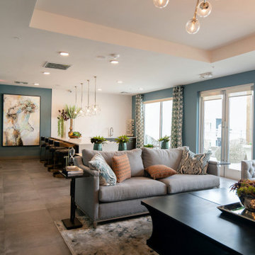 Flex Space & Living Room Remodels