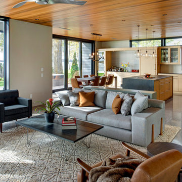 Pelican Lake Modern