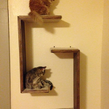 Cat Tree Shelves