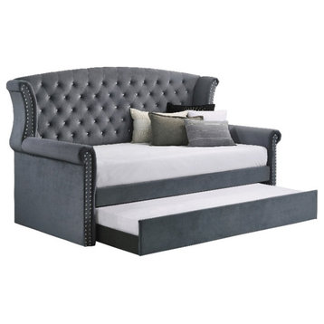 Coaster Scarlett Velvet Upholstered Tufted Twin Daybed with Trundle in Gray