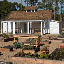 raised garden beds