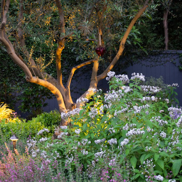 Mandeville Canyon Modern Oasis