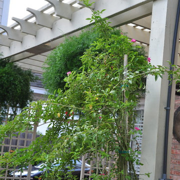Contemporary grassless landscape in West University