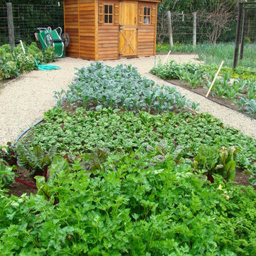 Vegetable gardens