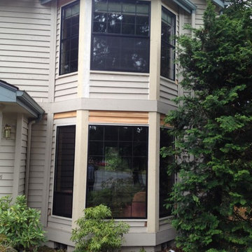 Window and Door Installations