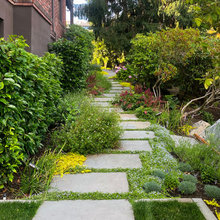 Side yard