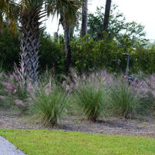 River House.  Landscaping