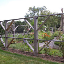 Home Landscape Ideas