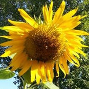 Beth Zanetich's photo