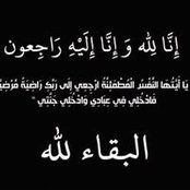 Maged Mostafa's photo