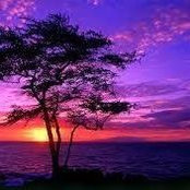 Colleen Gregory's photo