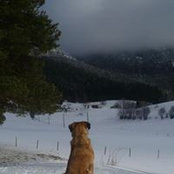 Foto de Bab Ylone