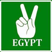 محمد سليم's photo