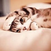 Suada Sabanovic's photo