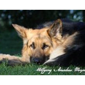Gena Anderberg's photo