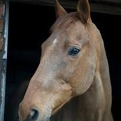 Ellie Barlow's photo
