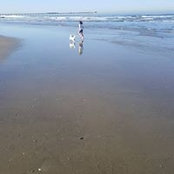 Richard Mccarvell's photo