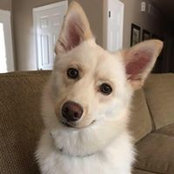 Wendy Pope's photo