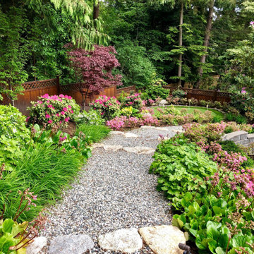 Backyard Haven